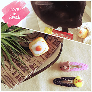 ちゅーる大好きリヒトくん♡/ひよことくまのヘアピン♡/可愛い物好き♡/minne/目玉焼きトーストのヘアゴム♡...などのインテリア実例 - 2018-03-20 17:22:40