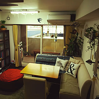 部屋全体/かめらまーく消し/フェイクグリーン/グリーン増やしたい♪/ぶら下げるのが好き♡...などのインテリア実例 - 2017-09-04 15:47:31