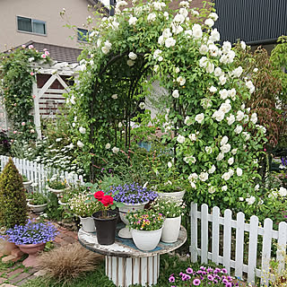 小さな庭 庭diyのインテリア 手作りの実例 Roomclip ルームクリップ