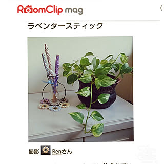 ラベンダー ラベンダースティックのおしゃれなアレンジ 飾り方のインテリア実例 Roomclip ルームクリップ