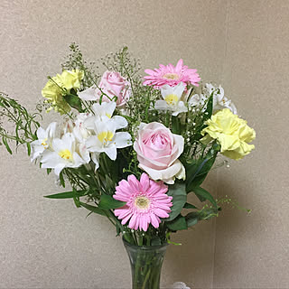 いいね!ありがとうございます♪/植物のある暮らし/いいね♪フォロー本当に感謝感謝です。/10000人の暮らし/ダイソー...などのインテリア実例 - 2019-04-27 10:17:36