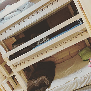 ベッド/ログハウス/木のぬくもり/子供のいる暮らし/極狭住宅...などのインテリア実例 - 2020-01-20 07:09:22