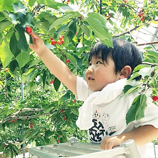 部屋全体/おでかけ/インテリアじゃなくてごめんなさい/こどもと暮らす。/食べ物でごめんなさい...などのインテリア実例 - 2016-06-19 23:09:16