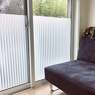 窓 ガラスフィルムのインテリア実例 Roomclip ルームクリップ