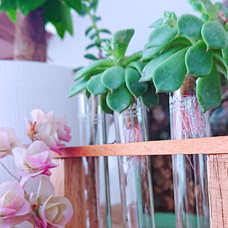 ナチュラルインテリア/男前も可愛いのもスキ❤/北海道/コメントお気遣いなく♡/ガルバリウム...などのインテリア実例 - 2018-09-13 09:40:17