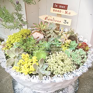 タイヤのプランターのインテリア実例 Roomclip ルームクリップ