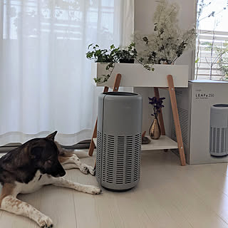 Francfranc フランフラン アロマ空気清浄機のまとめページ Roomclip ルームクリップ Francfranc フランフラン アロマ空気清浄機のまとめページ Roomclip ルームクリップ