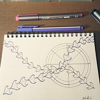 リビング/魔法の人/いつまでも少年のココロヲ忘れずに…/心配性部/いつもありがとう(*´ー`*)...などのインテリア実例 - 2017-02-22 21:31:44