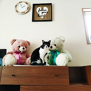 部屋全体/保護猫/ねこのいる日常/ビーカンパニー チェスト/時計...などのインテリア実例 - 2020-06-04 14:27:16