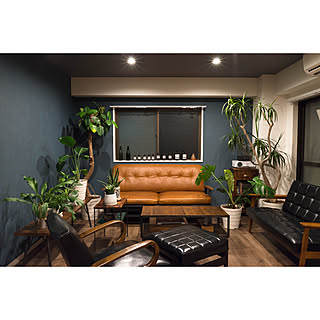 壁紙/カリモク60/ACME FURNITURE/緑のある暮らし/ドラセナ...などのインテリア実例 - 2020-03-21 20:32:14