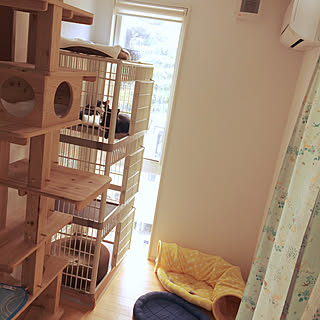 女性の、4LDK、家族住まいの「部屋全体」についてのインテリア実例