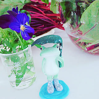 棚/赤い茎のほうれん草/ビオラ/キッチンカウンター/自然が大好き...などのインテリア実例 - 2019-05-21 15:06:54