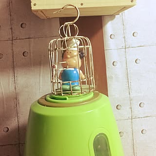 壁/天井/風の音が怖い…強風/リメイクシート/トイプードル多頭飼い/いつもいいねやコメありがとうございます...などのインテリア実例 - 2017-02-05 20:38:44