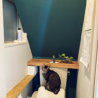 バス トイレ 壁紙屋本舗さんのペンキのインテリア実例 Roomclip ルームクリップ