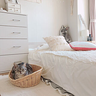 6畳寝室/プチプラで楽しむ/猫のいる暮らし/猫のベッド/ねこ...などのインテリア実例 - 2021-04-10 14:56:17