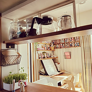 棚/ナチュラルキッチン/ダイソー/ニトリ/豆苗...などのインテリア実例 - 2020-02-23 15:03:09