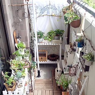 プランターDIY/グリーンのある暮らし/ごちゃごちゃも好き/スノコ棚DIY/ワイヤークラフト♡...などのインテリア実例 - 2016-05-26 06:44:17