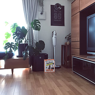 モデキャット/上から入る猫トイレ/unico TVボード/観葉植物のある暮らし/楽天で買ったもの...などのインテリア実例 - 2018-02-02 18:00:02