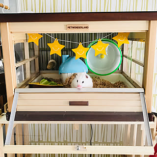 100均 ハムスターゲージのインテリア実例 Roomclip ルームクリップ 100均 ハムスターゲージのインテリア実例 Roomclip ルームクリップ