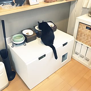 バス トイレ 猫トイレカバーのインテリア実例 Roomclip ルームクリップ