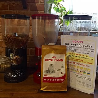 棚 ロイヤルカナンのインテリア実例 Roomclip ルームクリップ