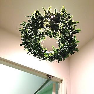 トイレ緑化計画のインテリア実例 Roomclip ルームクリップ トイレ緑化計画のインテリア実例 Roomclip ルームクリップ