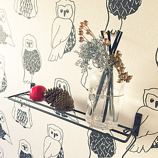 トイレ ふくろう壁紙のおしゃれなインテリアコーディネート レイアウトの実例 Roomclip ルームクリップ トイレ ふくろう壁紙のおしゃれなインテリアコーディネート レイアウトの実例 Roomclip ルームクリップ