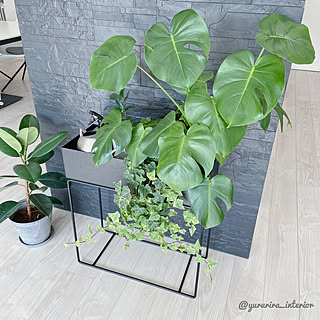 〇〇のある暮らし/北欧インテリア/モノトーン/海外インテリア/白黒雑貨...などのインテリア実例 - 2020-01-22 21:41:34