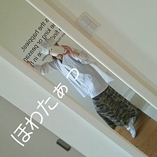 玄関 入り口 Magポーズのインテリア実例 Roomclip ルームクリップ