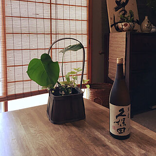 日本酒で乾杯/キッチンのインテリア実例 - 2019-05-28 13:42:59