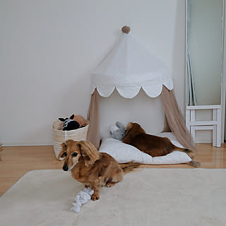 Ikea 犬の部屋のインテリア実例 Roomclip ルームクリップ