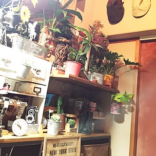 ハッピーRCライフ/!!!!!アホ仲間!!!!!/DIY/NO GREEN NO LIFE/和室だって諦めないっ!!...などのインテリア実例 - 2016-08-04 21:59:07