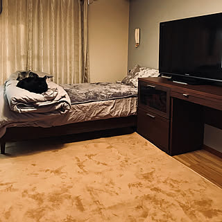 リビング/カーペット/1Rでも諦めない/ホテルライクにしたい/ホテルライクを目指して...などのインテリア実例 - 2019-01-09 15:20:59