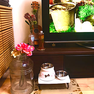 ダイソー 梅酒の瓶のインテリア実例 Roomclip ルームクリップ