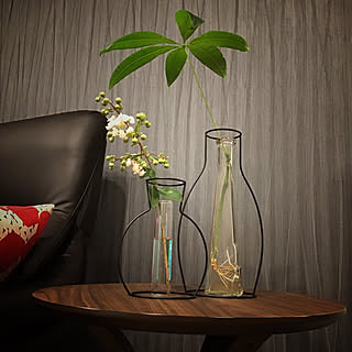 サルスベリの花のインテリア実例 Roomclip ルームクリップ