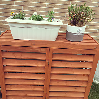 寄せ植え クランベリーのインテリア実例 Roomclip ルームクリップ