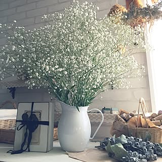 かすみ草の花束 のインテリア実例 Roomclip ルームクリップ