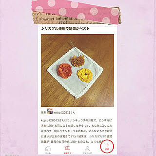 部屋全体/mag掲載記念❤️/ドライフラワー実験/いいね&フォロー嬉しいです•̀.̫•́✧/ナチュラル...などのインテリア実例 - 2018-02-18 00:01:25