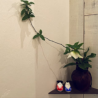 生花のある暮らし 花をいけるのインテリア実例 Roomclip ルームクリップ