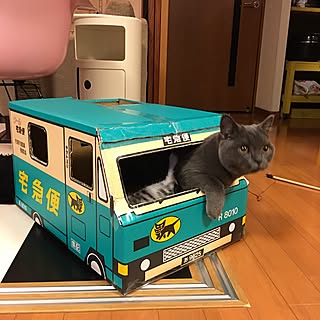 猫 クロネコヤマトのインテリア実例 Roomclip ルームクリップ