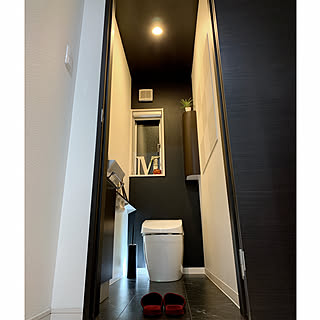 NEOREST AH1/TOTO/TOTOネオレスト/YMD.design/エコカラット...などのインテリア実例 - 2019-06-16 00:15:48