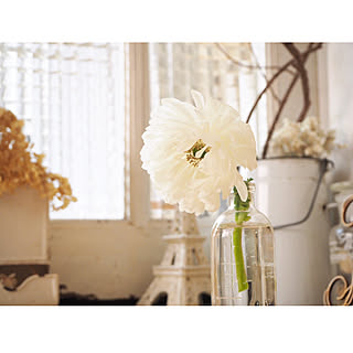 女性の、Other、の「棚」についてのインテリア実例