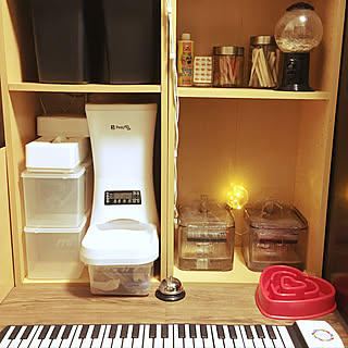 収納 電子ピアノのインテリア実例 Roomclip ルームクリップ