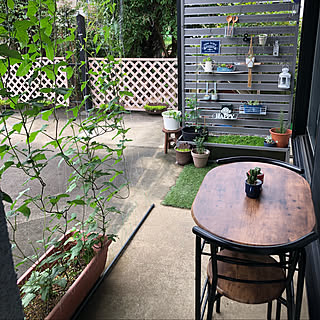 グリーンカーテンになる予定のインテリア実例 Roomclip ルームクリップ