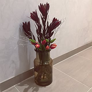 チューリップ 輸入壁紙のインテリア実例 Roomclip ルームクリップ