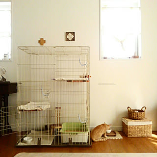 部屋全体/RCとちぎ苺の会/ほっこり*/ナチュラル/**にゃんこもインテリア**...などのインテリア実例 - 2017-10-18 14:58:01