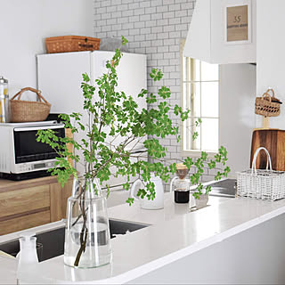 ブログ更新しました ドウダンツツジのインテリア実例 Roomclip ルームクリップ