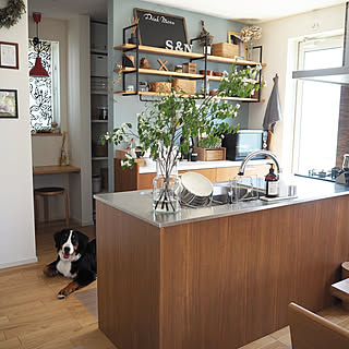 大型犬がいても素敵な暮らしがしたいのインテリア実例 Roomclip ルームクリップ