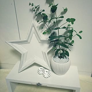 モノトーン/ホワイトインテリアにしたい♡/ユーカリ/ニトリ/vita...などのインテリア実例 - 2017-01-31 20:57:18