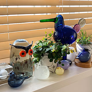 楽天roomに載せてます/観葉植物/北欧/マンション/北欧インテリア...などのインテリア実例 - 2020-02-24 15:38:08